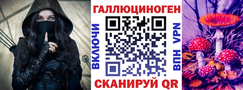 Псилоцибиновые грибы GOLDEN TEACHER Зея