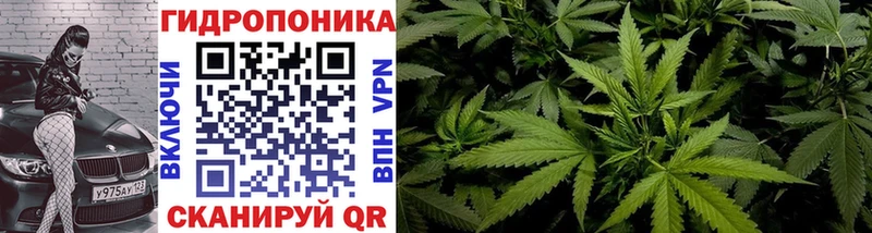 Конопля гибрид  где купить наркоту  Зея 